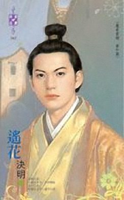遥花TXT全集封面