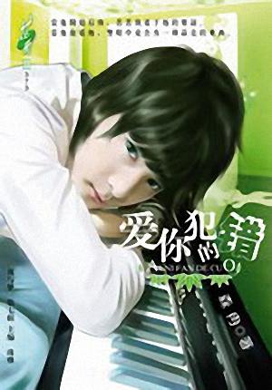 爱你犯的错TXT全集封面