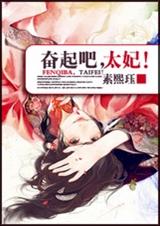 奋起吧,太妃!TXT全集封面