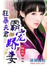 狂暴夫君霸宠娇妻TXT全集封面