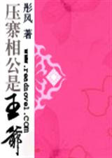 压寨相公是王爷TXT全集封面