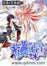 紫蝶陌雪TXT全集封面