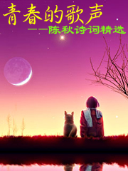 青春的歌声--陈秋诗歌集TXT全集封面
