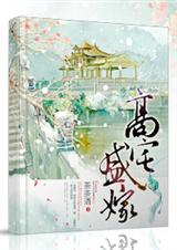 高宅盛嫁TXT全集封面