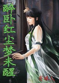 醉卧红尘梦未醒(下册/完结)TXT全集封面