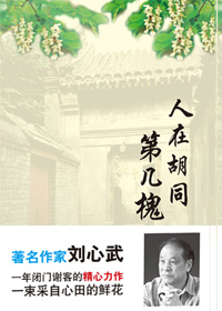 人在胡同第几槐TXT全集封面