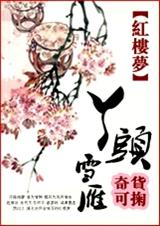 红楼之丫头雪雁TXT全集封面