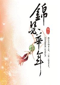 锦瑟华年(还珠同人)TXT全集封面