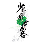 少年丞相世外客·中下册TXT全集封面