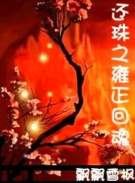 还珠之雍正回魂TXT全集封面
