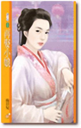 再娶小娘TXT全集封面