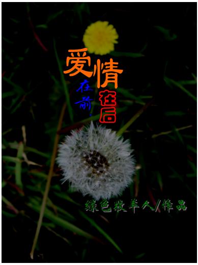 爱在前,情在后(悉尼留学故事)TXT全集封面