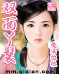 双面丫鬟TXT全集封面