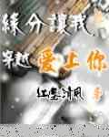 缘分让我穿越爱上你TXT全集封面