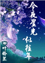 今夜星光似往年TXT全集封面