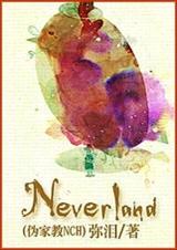(伪家教NCH同人)NeverlandTXT全集封面