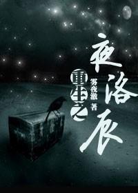 重生之夜洛辰TXT全集封面
