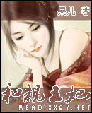 和亲王妃TXT全集封面