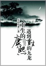 重生的康熙遇到重生的九龙TXT全集封面