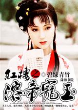 红楼之溶帝宠玉TXT全集封面