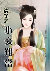 清穿之小妾难当(后宫甄嬛传(电视剧版)同人)TXT全集封面