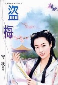 盗梅TXT全集封面