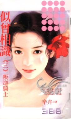 叛逆骑士TXT全集封面
