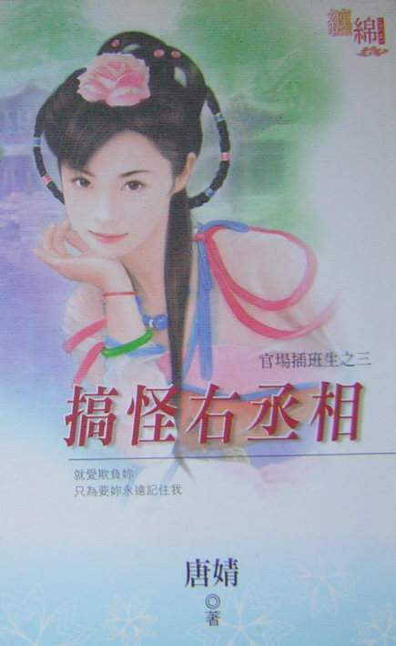 搞怪右丞相TXT全集封面