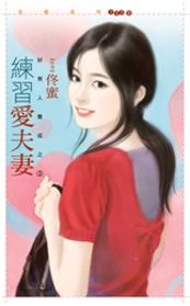 练习爱夫妻TXT全集封面