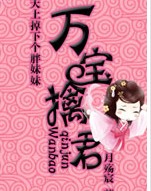 天上掉下个胖妹妹万宝擒君TXT全集封面