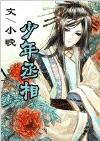 少年丞相TXT全集封面