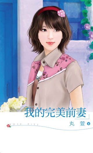 我的完美前妻TXT全集封面