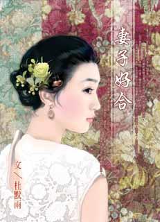 妻子好合TXT全集封面