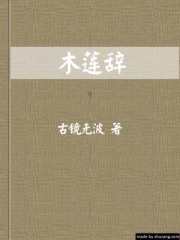 木莲辞(女尊)TXT全集封面