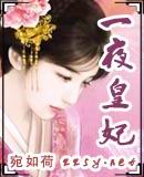 一夜皇妃TXT全集封面
