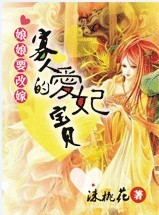 娘娘要改嫁:寡人的爱妃宝贝TXT全集封面