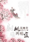 桃花青衣两相宜(射雕)TXT全集封面