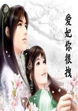 爱妃你很拽TXT全集封面