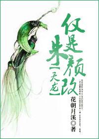 (天龙八部同人)仅是朱颜改TXT全集封面