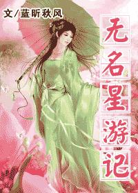 无名星游记TXT全集封面