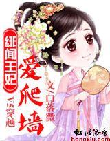 V5穿越:绯闻王妃爱爬墙TXT全集封面
