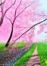 밮TXTȫ
