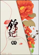 锦妃TXT全集封面