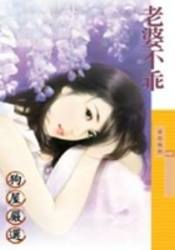 老婆不乖TXT全集封面