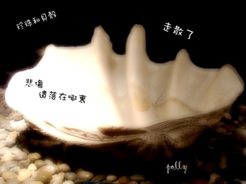 忧伤,在青春里走失TXT全集封面