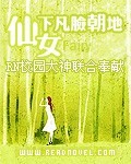 仙女下凡脸朝地TXT全集封面