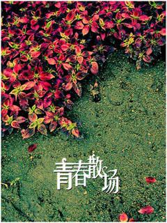 遗落了花絮TXT全集封面