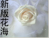 新版{花海}TXT全集封面