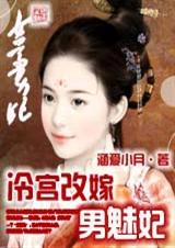冷宫改嫁男魅妃TXT全集封面