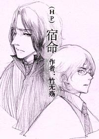 HP 宿命TXT全集封面